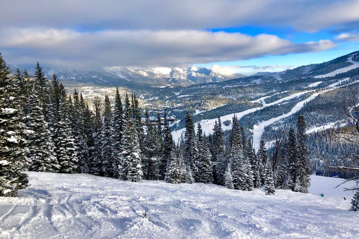 A ski slope in Montana with trees and mountains in the background.