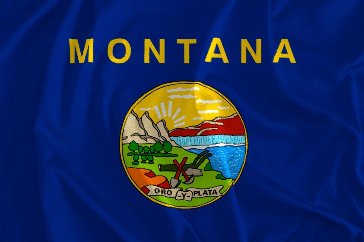 Montana State Flag