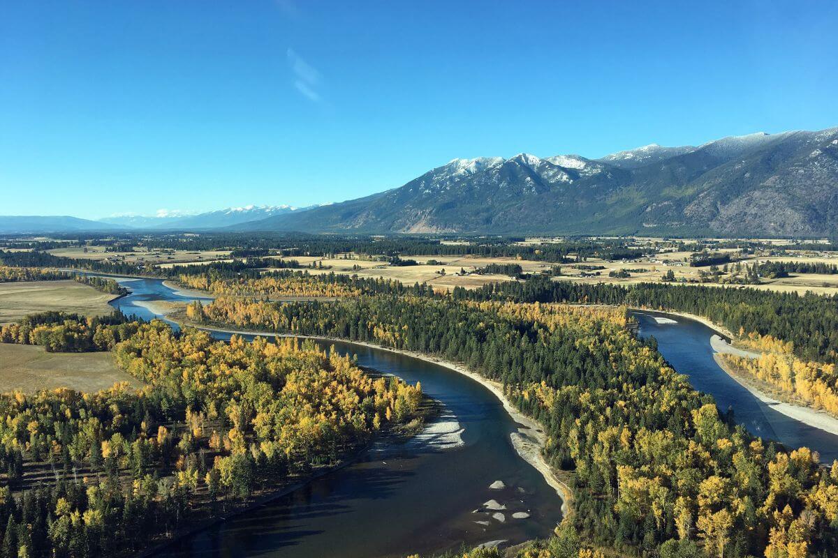 A fork in the river along one of Montana's rivers.
