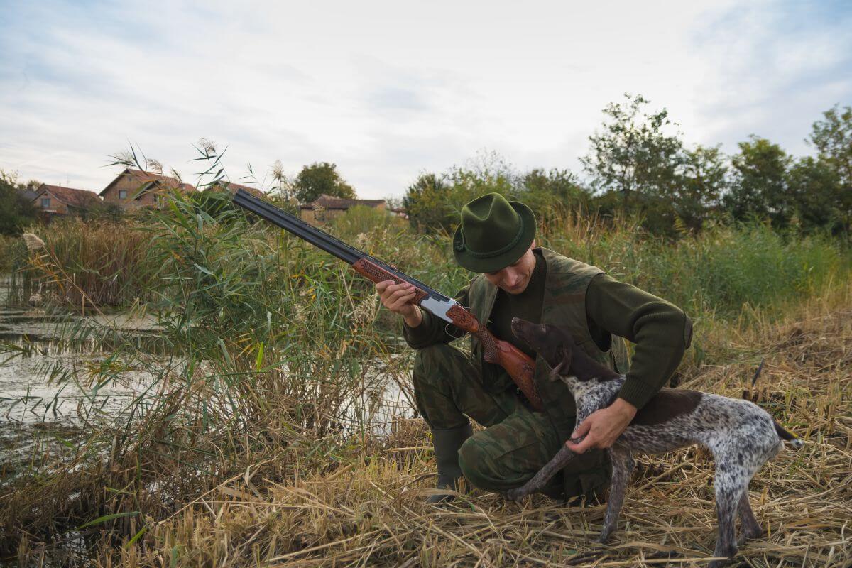 A man hunts alongside his trusty hunting dog in a swampy area in Montana