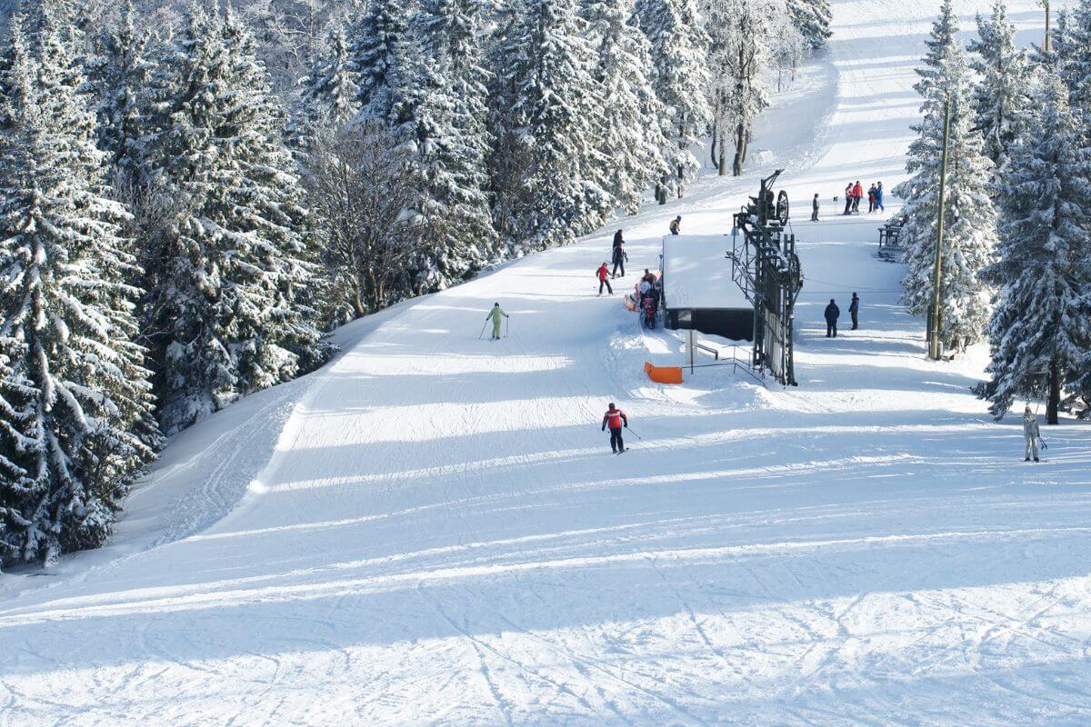 A group of people skiing down a snowy slope at Whitefish Mountain Resort, Montana.