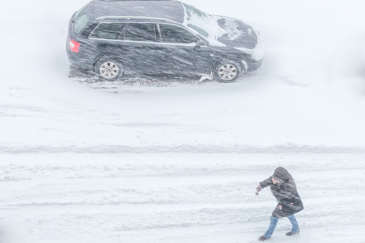 Harsh Winter in Montana