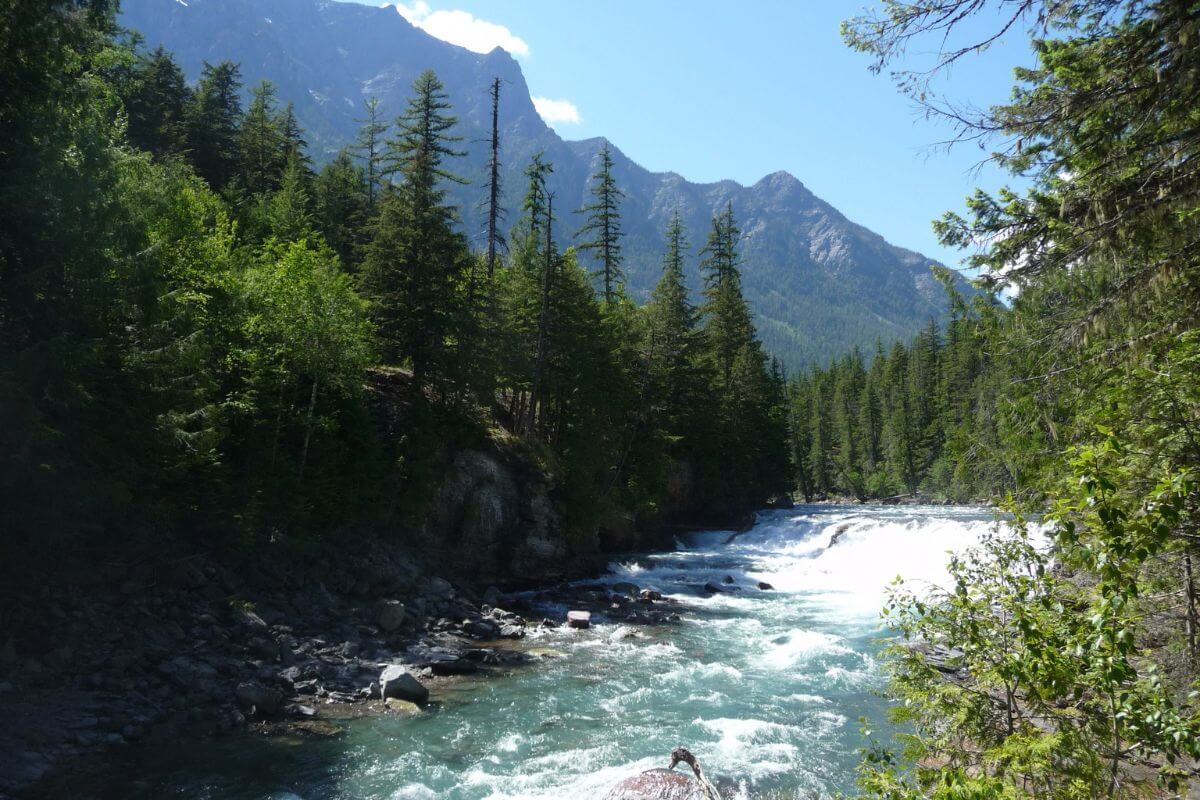 View of Glacier National Park Lake
