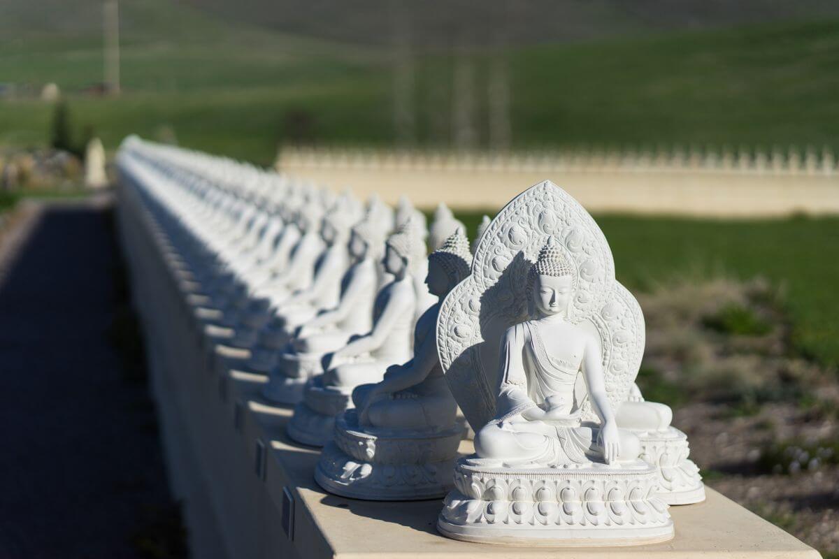 A row of white Buddha statues in the Garden of One Thousand Buddhas, Montana.