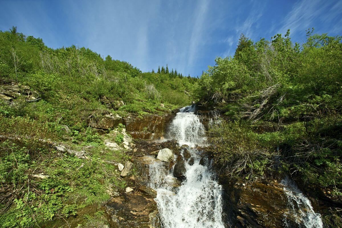 A waterfall cascades through a lush, green forest in the heart of Montana.