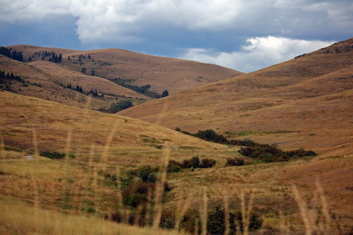 Gallatin Valley Montana