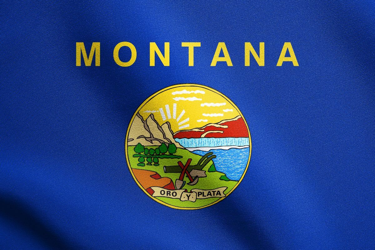 Montana State Flag