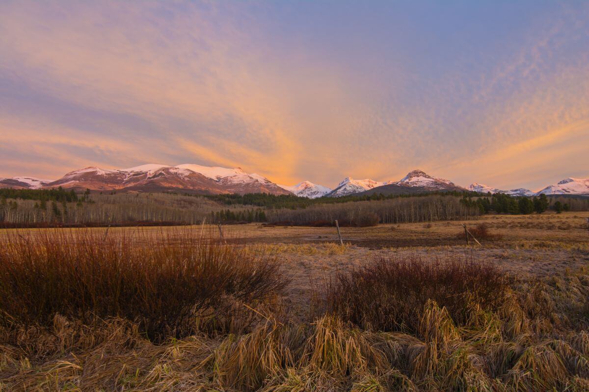 Montana Landscape in Summer