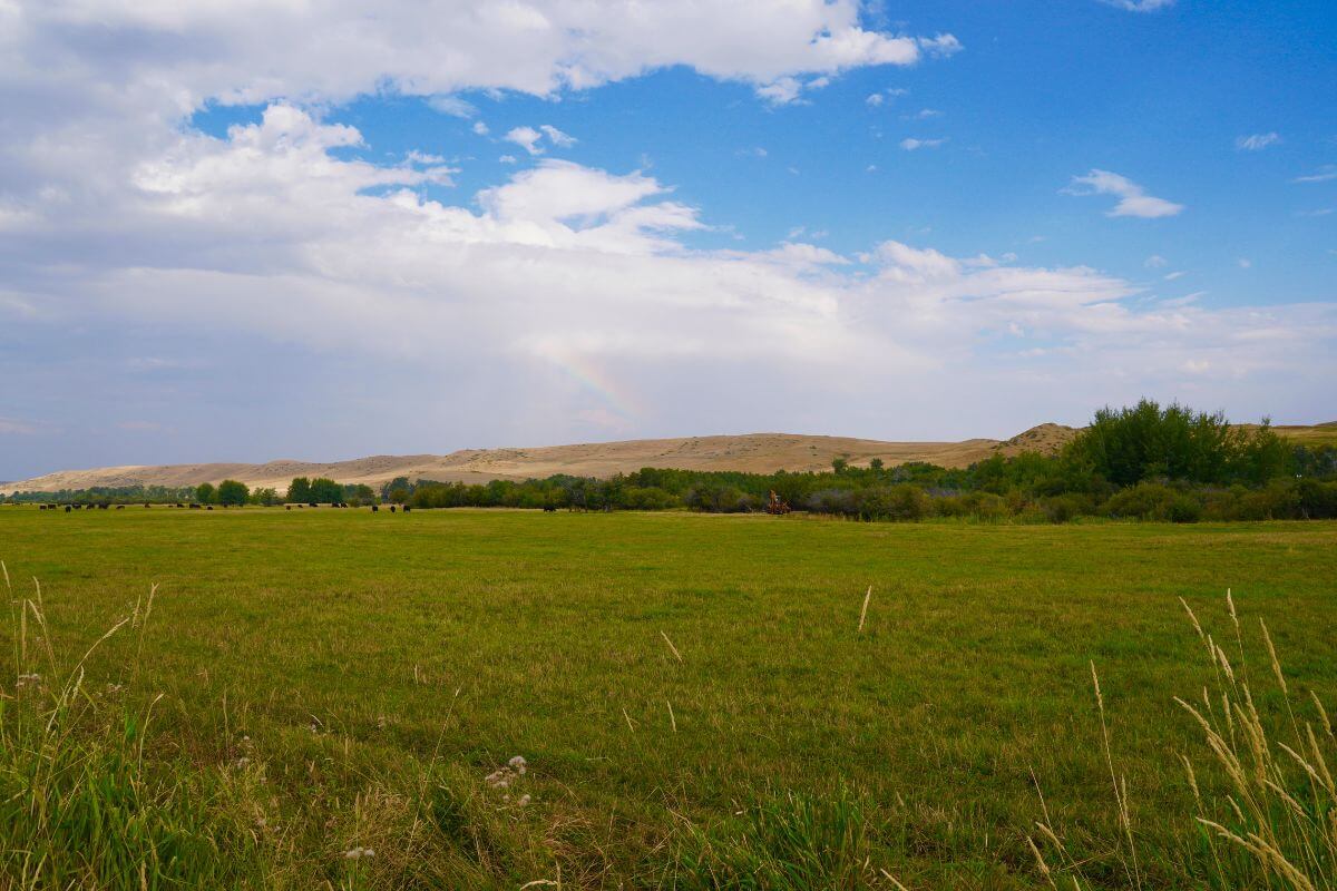 Vast View of a Farm Land