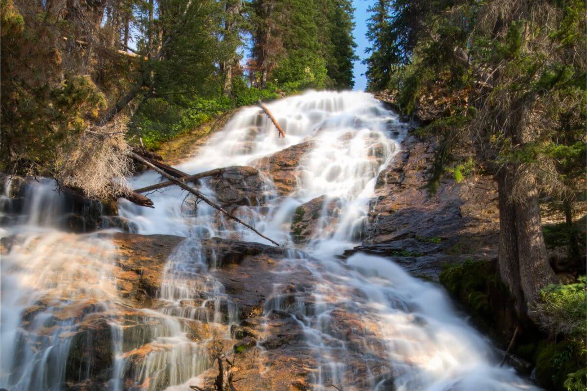 Skalkaho Falls flows down a rocky slope, surrounded by green trees and plants. The water looks silky as it rushes over the rocks in many streams.