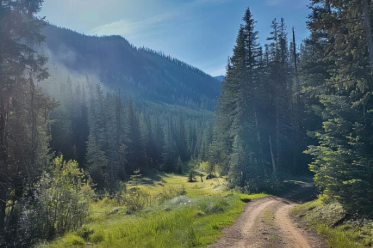 The Window Rock Road Trail to Silken Skien Falls featuring a lush forest and a distant mountain in the background.