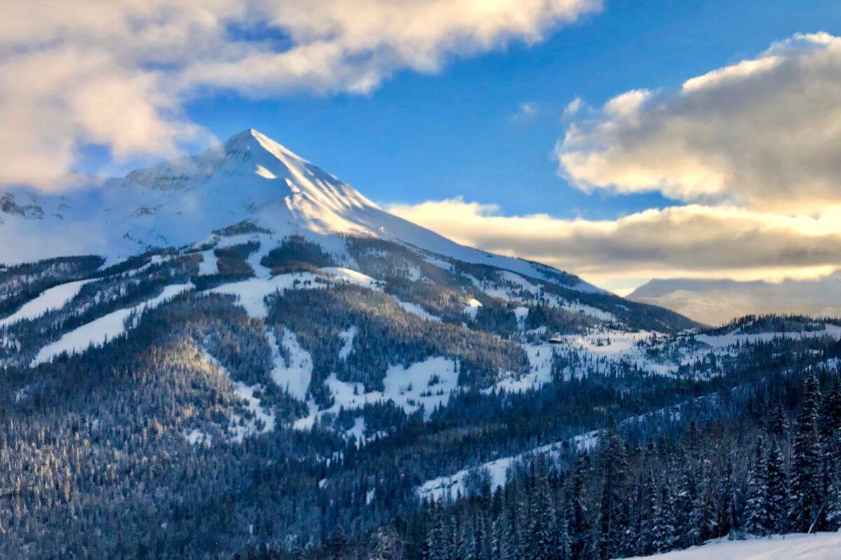 A snowy mountain in Montana with a forest of pine trees at its base.
