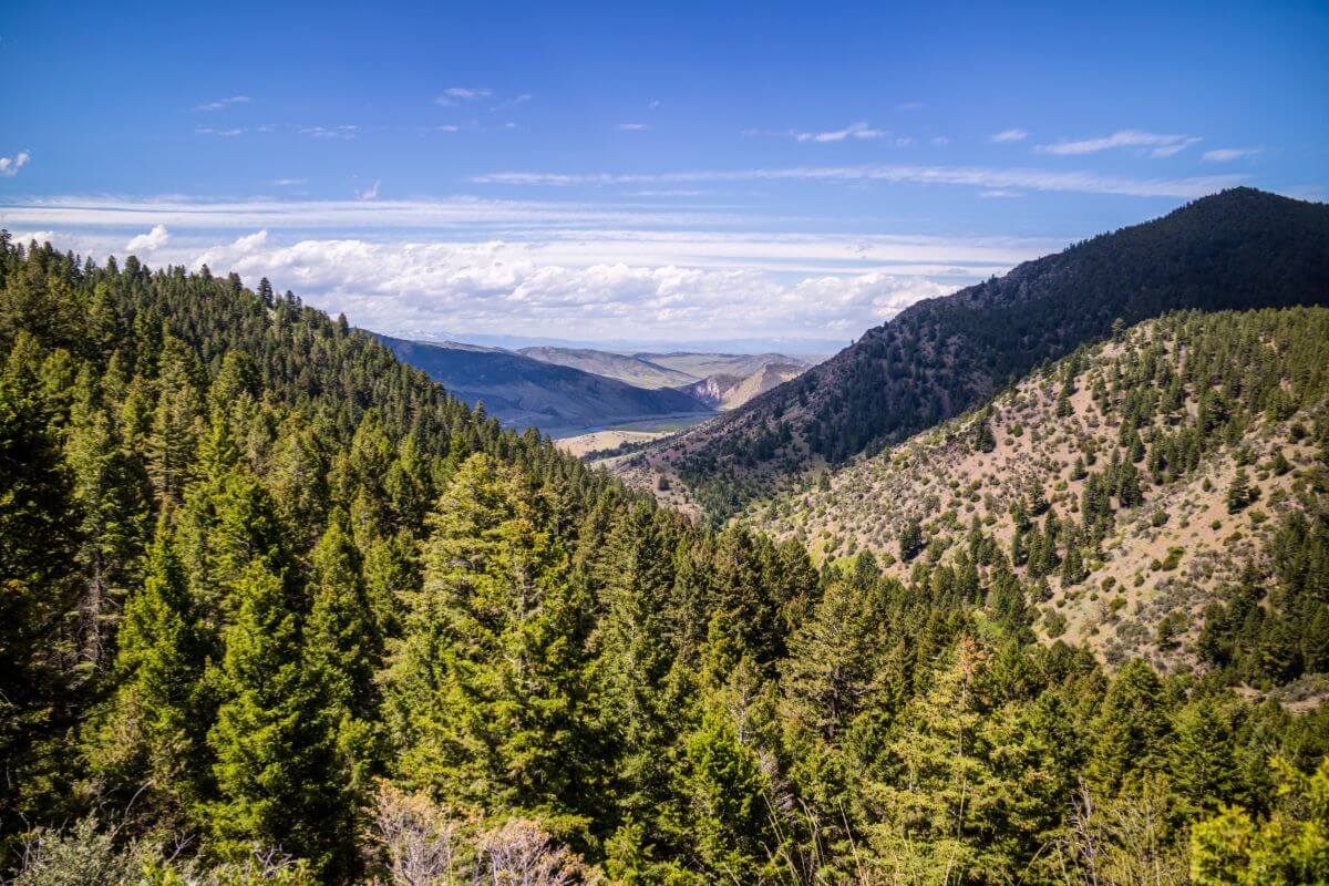 Lewis and Clark Caverns State Park in Montana