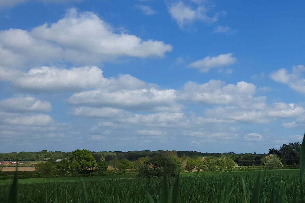 View of Montana Big Sky