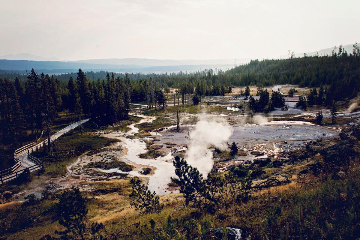 Yellow Stone National Park in Montana