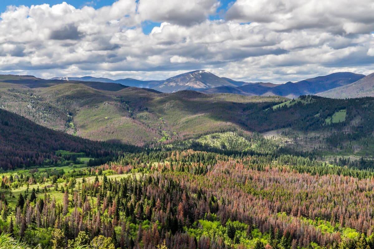 Image of the Helena Mountains