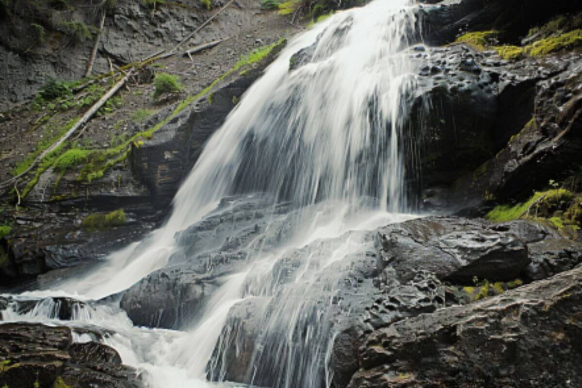 Silken Skein falls over mossy rocks in a Montana forest. The water rushes, creating a misty, calm feeling. Fallen tree branches lie nearby on the rocks.
