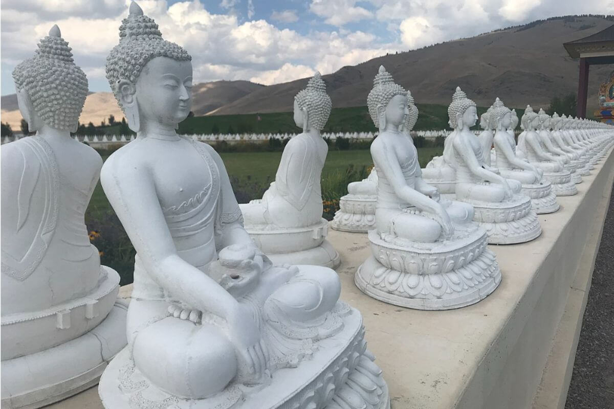 A row of white buddha statues with mountains in the background at the Garden of One Thousand Buddhas.