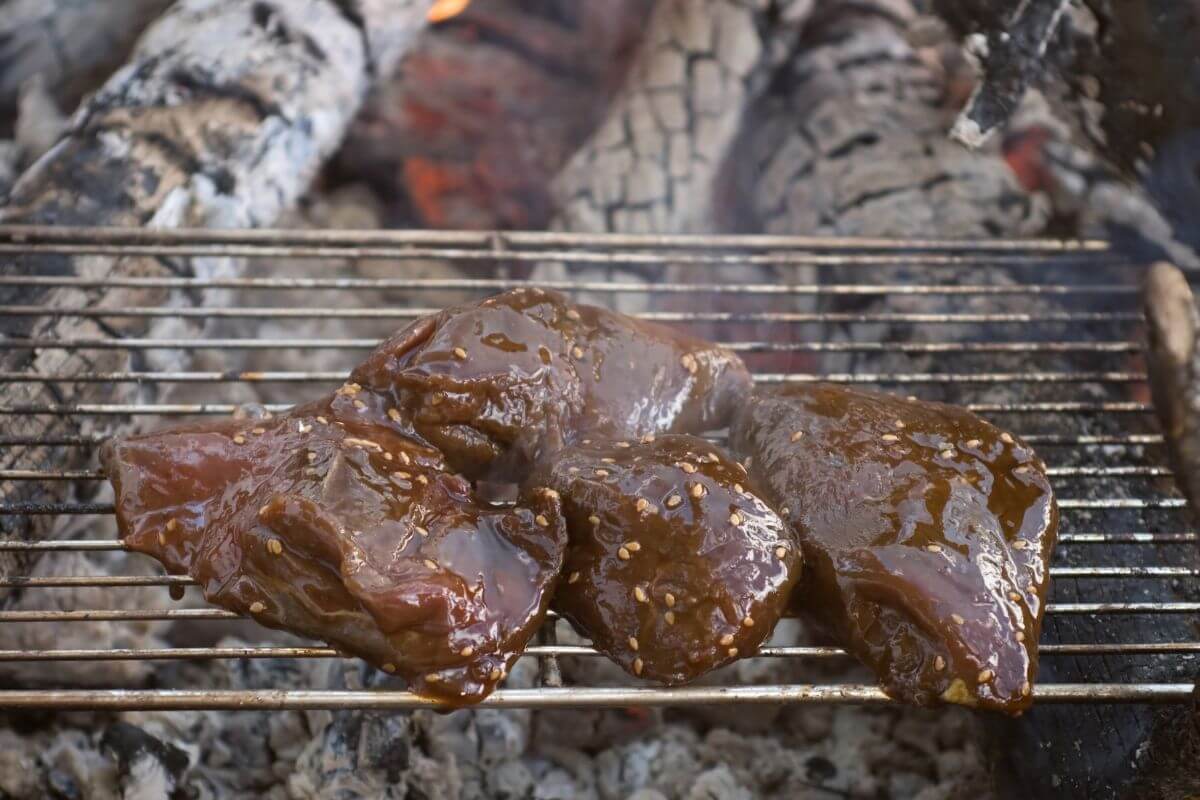 Elk steak on a grill in Montana
