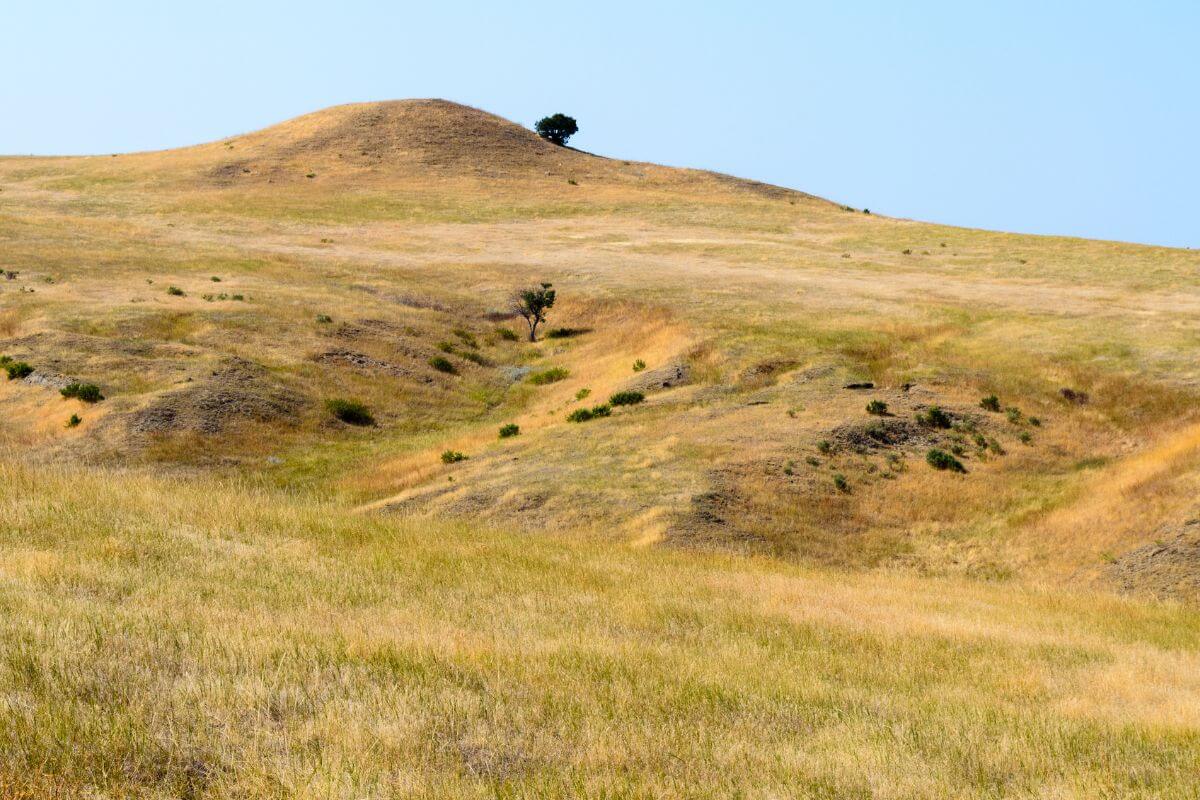 Little Bighorn Battlefield National Monument