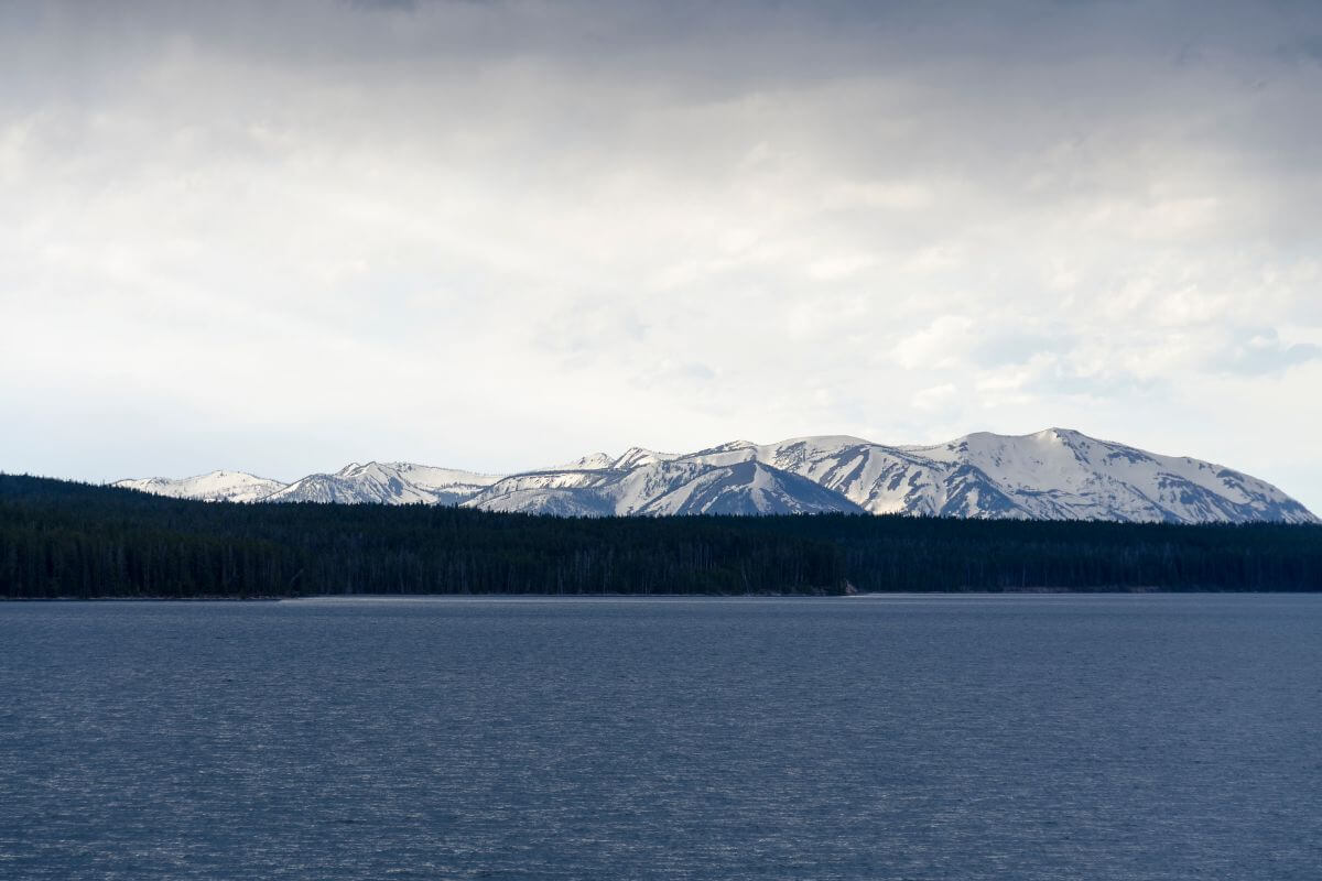 View of a Lake with Pine Trees and Mountain Background
